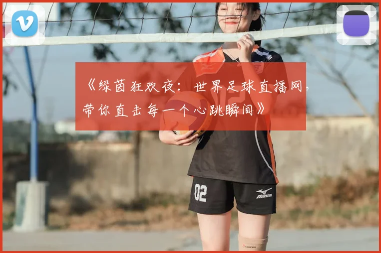 《绿茵狂欢夜：世界足球直播网，带你直击每一个心跳瞬间》