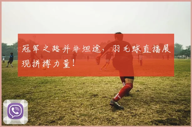 冠军之路并非坦途，羽毛球直播展现拼搏力量！
